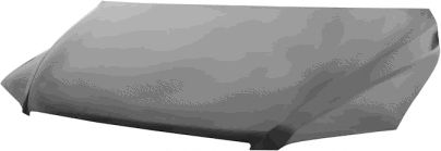 VAN WEZEL 1641660 Капот двигателя для FIAT MULTIPLA (Фиат Мултипла) VAN WEZEL 1641660 Капот двигателя для FIAT MULTIPLA (Фиат Мултипла)