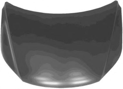 VAN WEZEL 5745660 Капот двигателя 