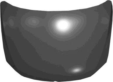 VAN WEZEL 5772660 Капот двигателя 