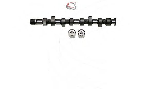 CAMPRO CP60207 Комплект распредвала для VOLKSWAGEN JETTA I (Фольксваген Жэтта и) CAMPRO CP60207 Комплект распредвала для VOLKSWAGEN JETTA I (Фольксваген Жэтта и)