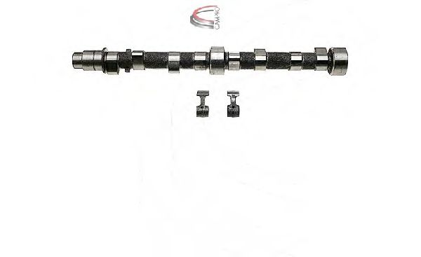 CAMPRO CP61903 Комплект распредвала для MERCEDES-BENZ G-CLASS (Мэрcэдэс-бэнз Ж класс) CAMPRO CP61903 Комплект распредвала для MERCEDES-BENZ G-CLASS (Мэрcэдэс-бэнз Ж класс)