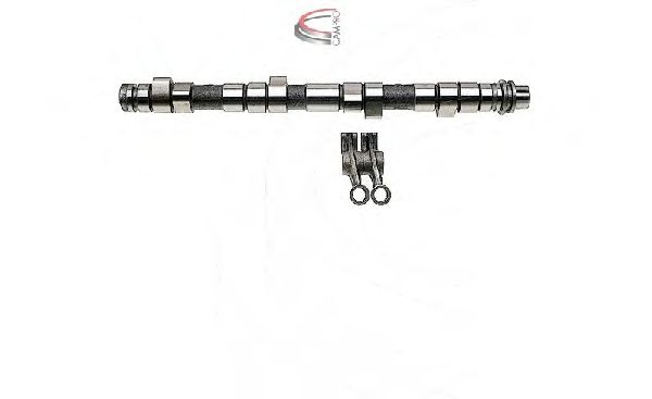 CAMPRO CP61910 Комплект распредвала для MERCEDES-BENZ G-CLASS (Мэрcэдэс-бэнз Ж класс) CAMPRO CP61910 Комплект распредвала для MERCEDES-BENZ G-CLASS (Мэрcэдэс-бэнз Ж класс)