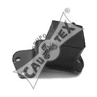 CAUTEX 020299 Подвеска, двигатель для RENAULT ESPACE I (Рено Эспаcэ и) CAUTEX 020299 Подвеска, двигатель для RENAULT ESPACE I (Рено Эспаcэ и)