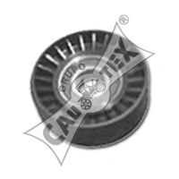 CAUTEX 030970 Паразитный ведущий ролик, поликлиновой ремень для PEUGEOT 406 (Пежо 406) CAUTEX 030970 Паразитный ведущий ролик, поликлиновой ремень для PEUGEOT 406 (Пежо 406)