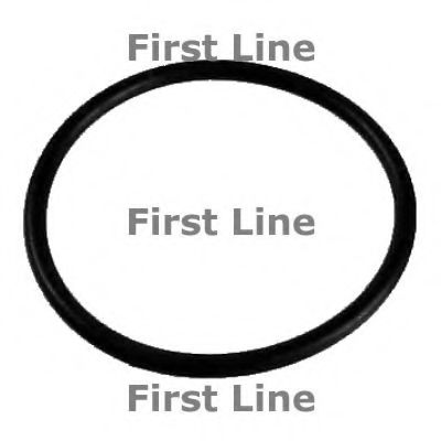 FIRST LINE TG062 Термостат, охлаждающая жидкость для FORD GALAXY (Форд Галакси) FIRST LINE TG062 Термостат, охлаждающая жидкость для FORD GALAXY (Форд Галакси)