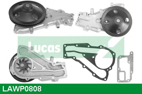 LUCAS ENGINE DRIVE LAWP0808 Водяной насос для RENAULT 19 (Рено 19)