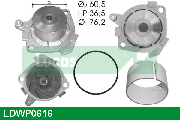 LUCAS ENGINE DRIVE LDWP0616 Водяной насос для LANCIA THESIS (Лансиа/лянча Тхэсис) LUCAS ENGINE DRIVE LDWP0616 Водяной насос для LANCIA THESIS (Лансиа/лянча Тхэсис)