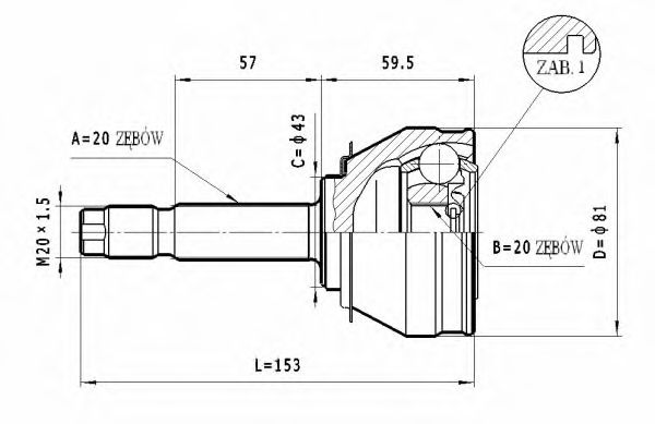 STATIM C.005 Шарнирный комплект, приводной вал для SEAT (Сеат) STATIM C.005 Шарнирный комплект, приводной вал для SEAT (Сеат)