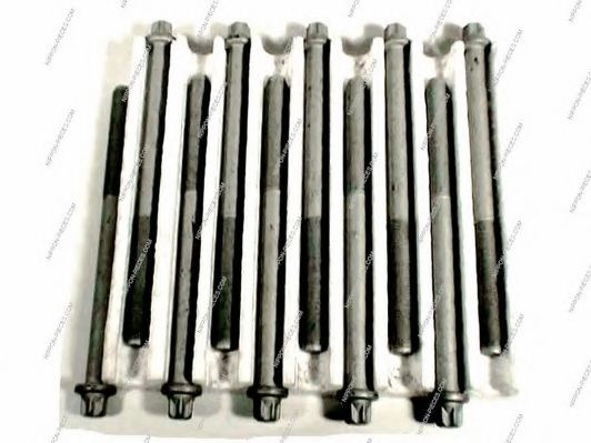 NPS D128O01 Комплект болтов головки цилидра 