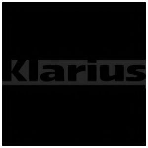 KLARIUS 380596 Катализатор для FORD-USA (Форд-уса) KLARIUS 380596 Катализатор для FORD-USA (Форд-уса)