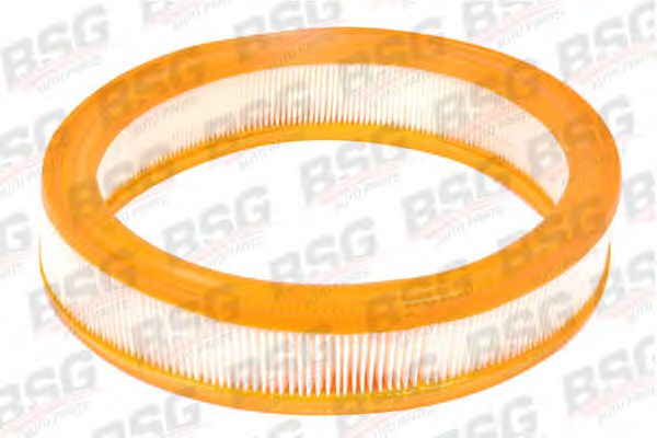 BSG BSG 30-135-013 Воздушный фильтр для FORD GRANADA (Форд Гранада) BSG BSG 30-135-013 Воздушный фильтр для FORD GRANADA (Форд Гранада)