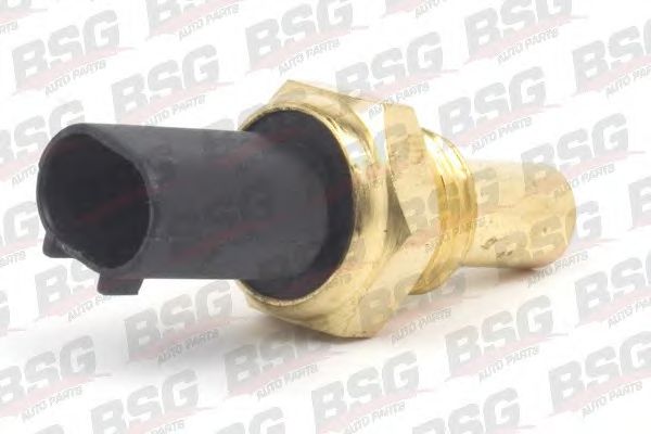 BSG BSG 60-840-013 Датчик, температура масла; Датчик, температура охлаждающей жидкости<br >насос впрыска 