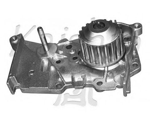 CALIBER WPC365 Водяной насос для DACIA SANDERO (Дача Сандэро) CALIBER WPC365 Водяной насос для DACIA SANDERO (Дача Сандэро)