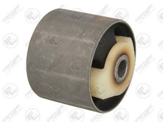 FORTUNE LINE FZ91179 Подвеска, рычаг независимой подвески колеса 