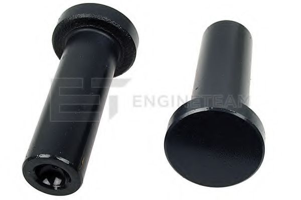 ET ENGINETEAM ZM0100 Толкатель для MAN M 2000 L (Ман М 2000 л) ET ENGINETEAM ZM0100 Толкатель для MAN M 2000 L (Ман М 2000 л)