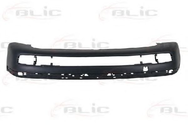 BLIC 5510-00-0065900P Буфер 