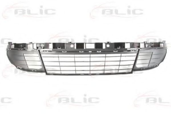 BLIC 5510-00-6046993P Решетка вентилятора, буфер 