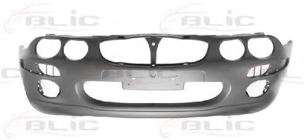 BLIC 5510-00-6435900P Буфер 