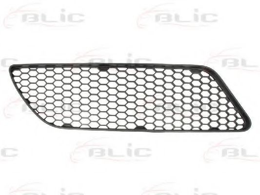 BLIC 5513-00-0109998Q Решетка вентилятора, буфер 