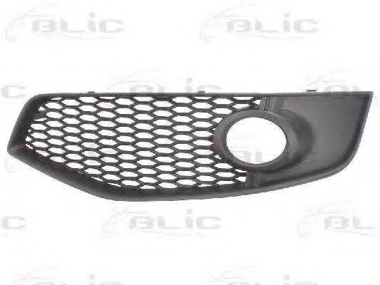 BLIC 6502-07-0026921P Решетка вентилятора, буфер 