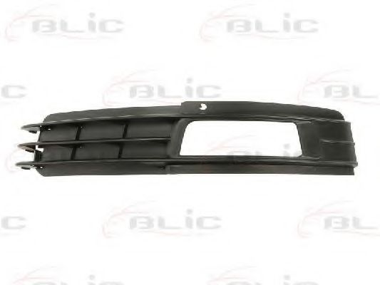 BLIC 6502-07-0031921P Решетка вентилятора, буфер 