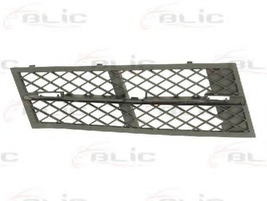 BLIC 6502-07-0067915P Решетка вентилятора, буфер 