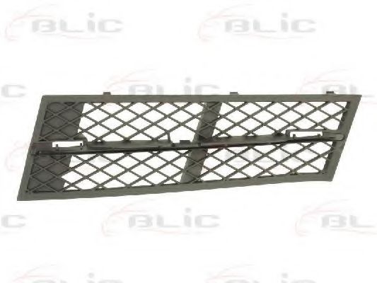 BLIC 6502-07-0067916P Решетка вентилятора, буфер 