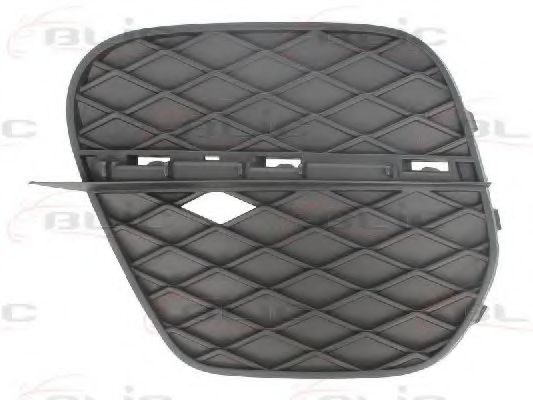 BLIC 6502-07-0096915P Решетка вентилятора, буфер 