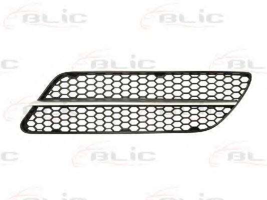BLIC 6502-07-0109921P Решетка вентилятора, буфер 