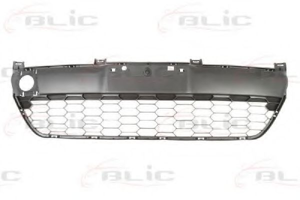 BLIC 6502-07-3421910P Решетка вентилятора, буфер 