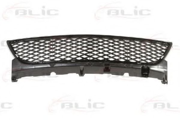 BLIC 6502-07-3476921P Решетка вентилятора, буфер 