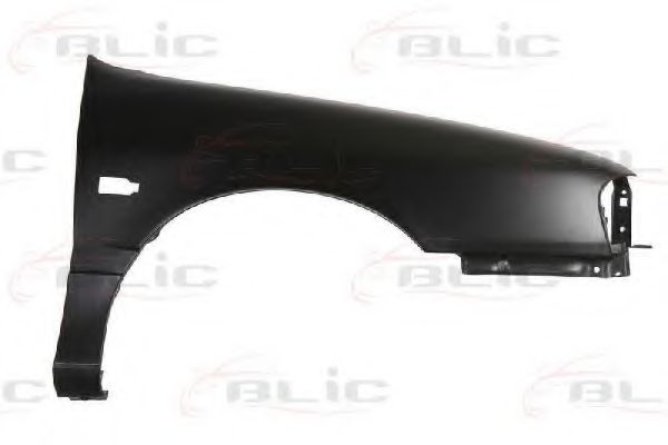 BLIC 6504-04-1666312P Крыло для NISSAN (Ниссан) BLIC 6504-04-1666312P Крыло для NISSAN (Ниссан)