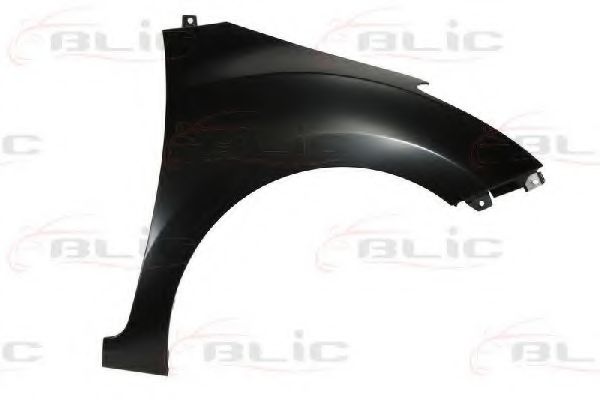 BLIC 6504-04-3136314P Крыло для HYUNDAI (Хендай) BLIC 6504-04-3136314P Крыло для HYUNDAI (Хендай)