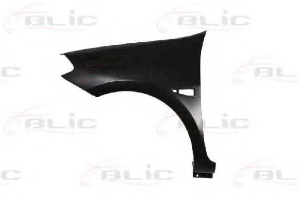 BLIC 6504-04-6030311P Крыло для RENAULT THALIA II (Рено Тхалиа 2) BLIC 6504-04-6030311P Крыло для RENAULT THALIA II (Рено Тхалиа 2)