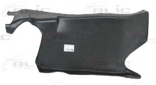BLIC 6601-02-0020872P Кожух двигателя для AUDI TT (Ауди Тт) BLIC 6601-02-0020872P Кожух двигателя для AUDI TT (Ауди Тт)