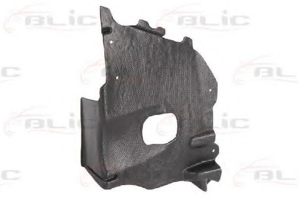 BLIC 6601-02-0550873P Кожух двигателя<br >2002 