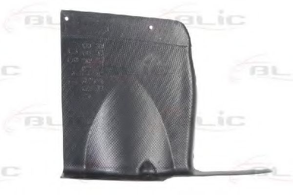 BLIC 6601-02-0551871P Кожух двигателя<br >2002 