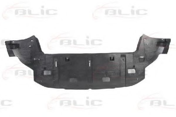 BLIC 6601-02-5519880P Кожух двигателя 