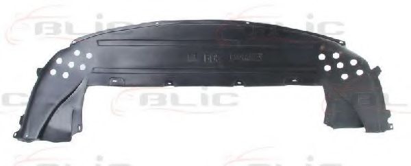 BLIC 6601-02-5541880P Кожух двигателя 
