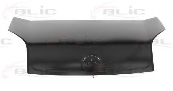 BLIC 6803-00-2053280P Капот двигателя 