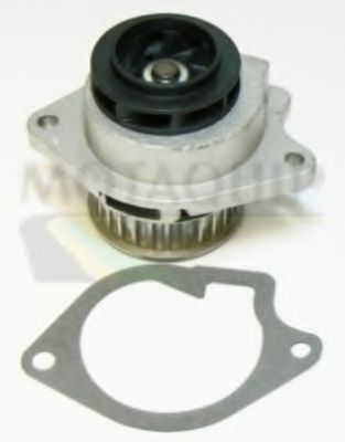 MOTAQUIP VWP749 Водяной насос для SEAT IBIZA III (Сеат Ибица 3) MOTAQUIP VWP749 Водяной насос для SEAT IBIZA III (Сеат Ибица 3)