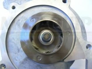 MOTAQUIP VWP868 Водяной насос для ALFA ROMEO 159 (Альфа ромео 159) MOTAQUIP VWP868 Водяной насос для ALFA ROMEO 159 (Альфа ромео 159)