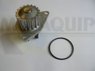 MOTAQUIP VWP881 Водяной насос для CITROËN C4 (CитроËн С4) MOTAQUIP VWP881 Водяной насос для CITROËN C4 (CитроËн С4)