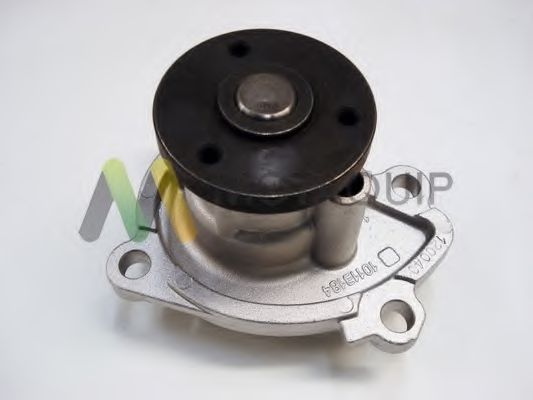 MOTAQUIP LVWP1000 Водяной насос для NISSAN JUKE (Ниссан Джук) MOTAQUIP LVWP1000 Водяной насос для NISSAN JUKE (Ниссан Джук)