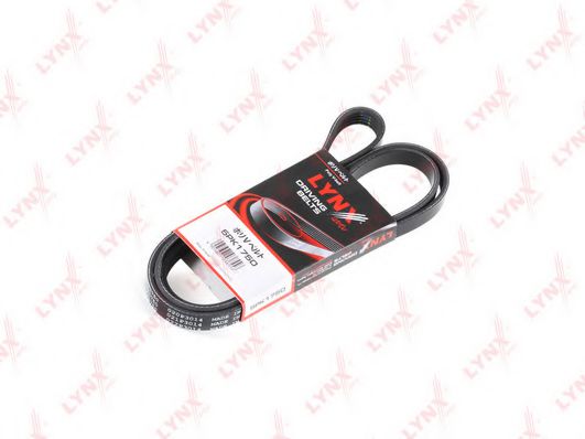 LYNXauto 5PK1750 Поликлиновой ремень для RENAULT KANGOO (Рено Кангу) LYNXauto 5PK1750 Поликлиновой ремень для RENAULT KANGOO (Рено Кангу)