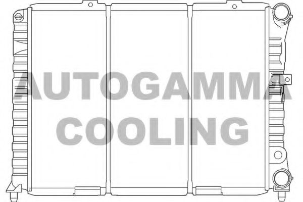 AUTOGAMMA 100019 Радиатор, охлаждение двигателя 