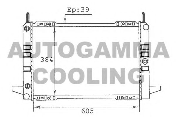 AUTOGAMMA 100368 Радиатор, охлаждение двигателя 