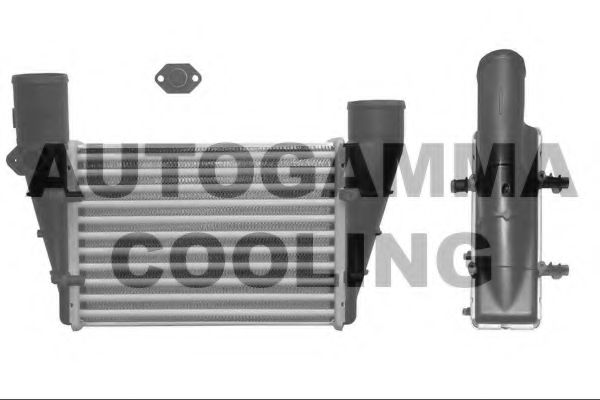 AUTOGAMMA 101858 Интеркулер для AUDI A6 (Ауди А6) AUTOGAMMA 101858 Интеркулер для AUDI A6 (Ауди А6)