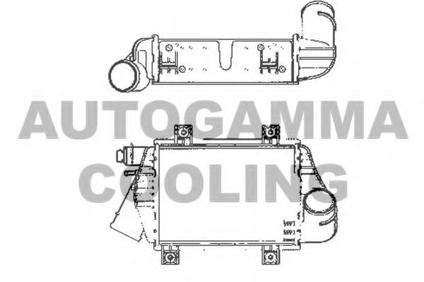 AUTOGAMMA 101966 Интеркулер для VOLKSWAGEN T4 MULTIVAN (Фольксваген Т4 мултиvан) AUTOGAMMA 101966 Интеркулер для VOLKSWAGEN T4 MULTIVAN (Фольксваген Т4 мултиvан)