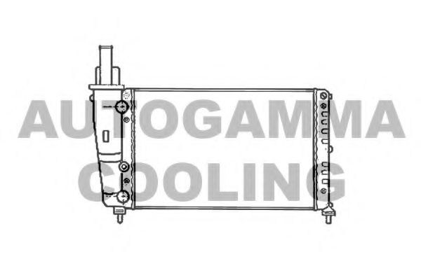 AUTOGAMMA 102066 Радиатор, охлаждение двигателя 